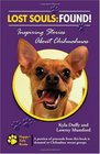 Lost Souls Found Inspiring Stories About Chihuahuas