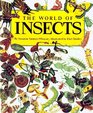 World of Insects The