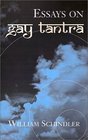 Essays on Gay Tantra