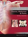 Lippincott's Concise Illustrated Anatomy Thorax Abdomen  Pelvis