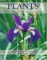 Plants Their Use Management Cultivation and BiologyA Comprehensive Guide