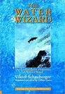 The Water Wizard: The Extraordinary Properties of Natural Water (Eco-Technology, Vol 1)