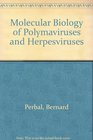 Molecular Biology of Polymaviruses and Herpesviruses
