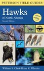 Field Guide to Hawks of North America