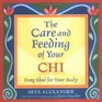 The Care And Feeding Of Your Chi Feng Shui For Your Body