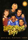 Backstreet Boys  The Official Picture Book