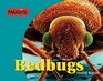 Parasites  Bedbugs