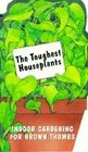 The Toughest Houseplants