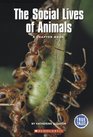 The Social Lives Of Animals A Chapter Book