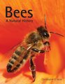 Bees A Natural History