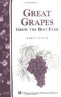 Great Grapes Grow the Best Ever (A.53)