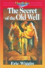 Secret of the Old Well