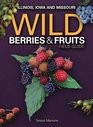 Wild Berries  Fruits Field Guide of Illinois Iowa and Missouri
