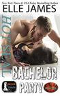 Hot SEAL Bachelor Party A Brotherhood Protectors/SEALs in Paradise Crossover Novel