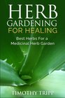 Herb Gardening For Healing Best Herbs For a Medicinal Herb Garden
