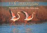 La Camargue