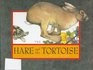 The Hare And The Tortoise