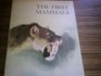 First Mammals