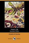Insect Life