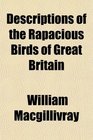 Descriptions of the Rapacious Birds of Great Britain