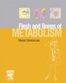 The Flesh and Bones of Metabolism