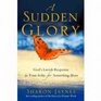 A Sudden Glory God's Lavish Response to Your Ache for Something More