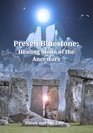Preseli Bluestone Healing Stone of the Ancestors