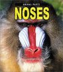 Noses (Animal Parts)