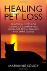 Healing Pet Loss Practical Steps for Coping and Comforting Messages from Animals and Spirit Guides