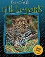 Little Leopards