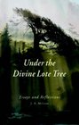 Under the Divine Lote Tree