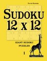 Sudoku 12 x 12 giant sudoku puzzles 1