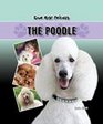 Poodle The