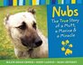 Nubs The True Story of a Mutt a Marine  a Miracle