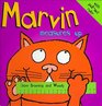 Marvin Measures Up