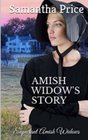 Amish Widow's Story (Expectant Amish Widows) (Volume 14)