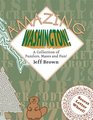 Amazing Washington A Collection of Puzzlers Mazes and Fun