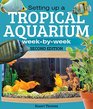 Setting Up a Tropical Aquarium Week By Week