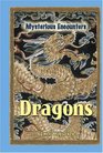 Mysterious Encounters  Dragons