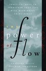 The Power of Flow  Practical Ways to Transform Your Life with Meaningful Coincidence