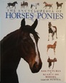 The Encyclopedia of Horses & Ponies