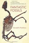 Fantastic Fossils A Guide to Finding and Identifying Prehistoric Life