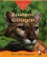 Canada's Endangered Animals / Eastern Cougars