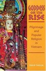 Goddess on the Rise Pilgrimage and Popular Religion in Vietnam