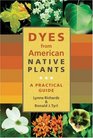 Dyes from American Native Plants A Practical Guide