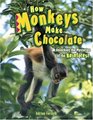 How Monkeys Make Chocolate Unlocking the Mysteries of the Rain Forest