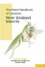 The Reed Handbook of Common New Zealand Insects
