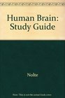 The Human Brain An Introduction to Its Functional Anatomy