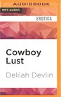 Cowboy Lust Erotic Romance for Women