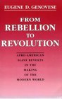 From Rebellion to Revolution AfroAmerican Slave Revolts in the Making of the Modern World